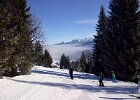 Mittelberg-20130302-01408
